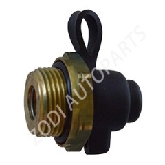 1082480 volvo auto parts M22 test nipple ZODI