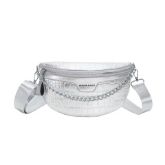 Fashion Daily Silver Fanny Pack