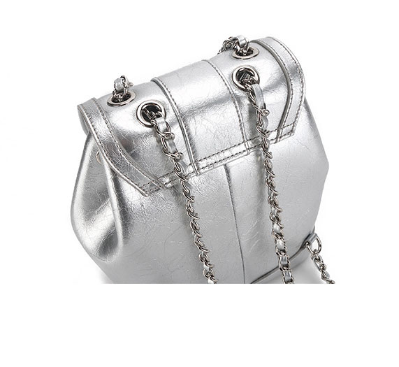 Fashion Daily Silver Leather Backpack