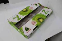 TOP DELICACY Kiwifruit