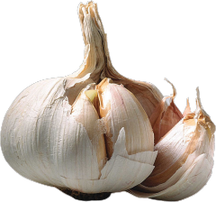 Wanhui's Premium Natural Garlic - Rich & Aromatic