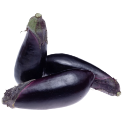 Wanhui's Fresh and Nutritious Eggplants - Vibrant & Healthy