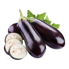 Wanhui's Fresh and Nutritious Eggplants - Vibrant &amp; Healthy