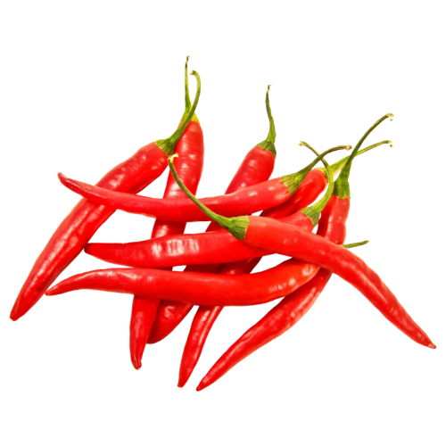 Red chili