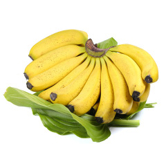 Wanhui's Premium Organic Bananas - Naturally Sweet & Nutrient-Rich