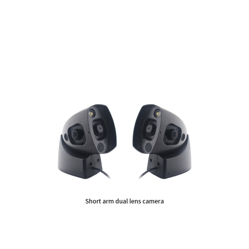 Dual side view camera with monitor system