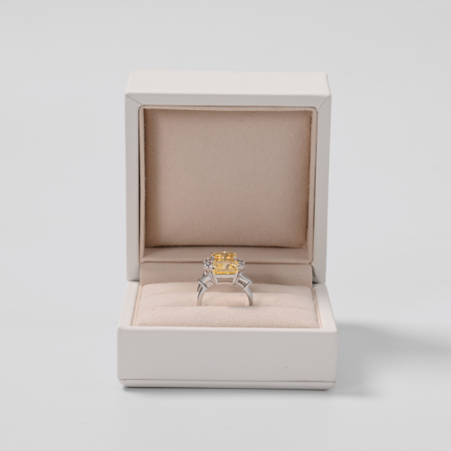 FANXI wholesale jewelry subscription box_girls jewelry box_big jewelry box