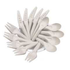 Biodegradable Sugarcane Bagasse Paper Cutlery