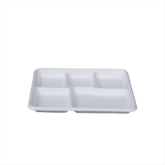 Airline Biodegradable Sugarcane Bagasse Tray