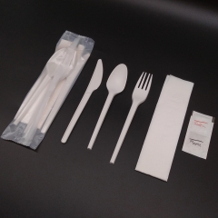 CPLA cutlery pack