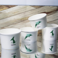 Eco Friendly Biodegradable Coffee Paper Cup with Lid (Plastic Free)