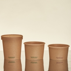 Eco Friendly Biodegradable Coffee Paper Cup with Lid (Plastic Free)