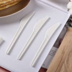 Airline Eco 100% Compostable Biodegradable CPLA Cutlery Set