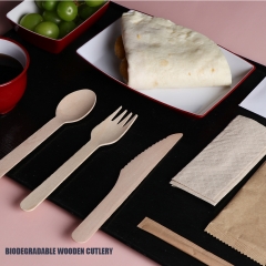 Eco Friendly Biodegradable Disposable Wooden Cutlery Set