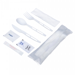 CPLA cutlery pack