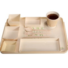 Disposable Biodegradable Eco Friendly Wooden Paper Dinnerware