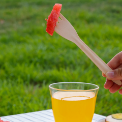 Compostable Disposable Wooden Cutlery Set