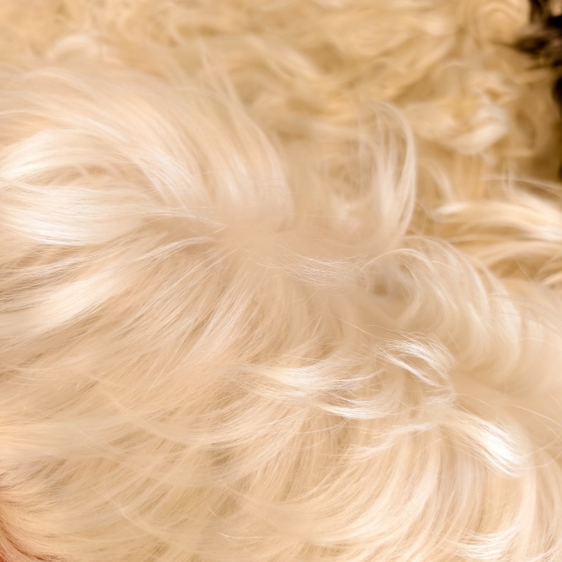 Tibetan White yak hide