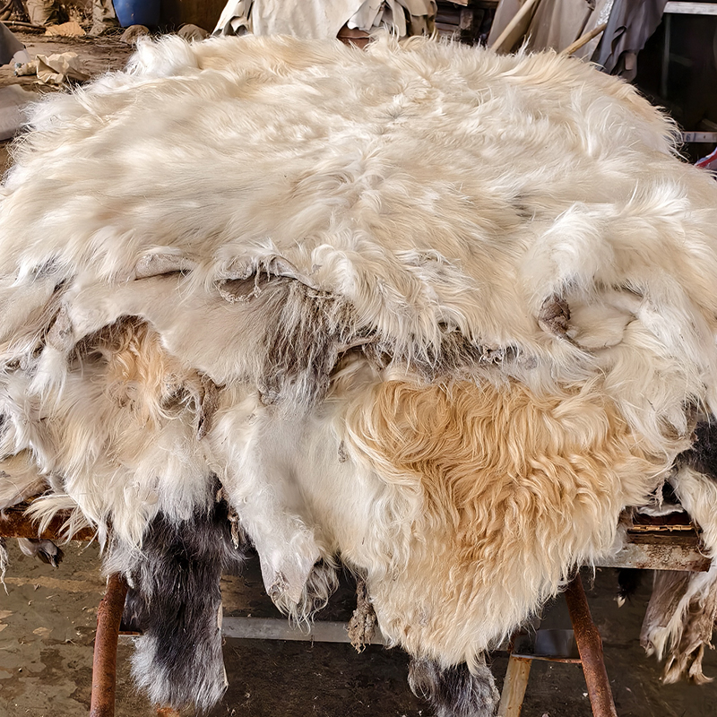 Tibetan White yak hide