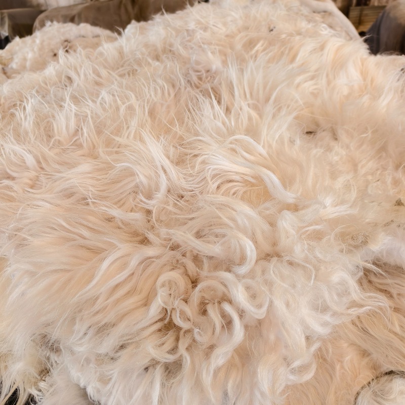Tibetan White yak hide