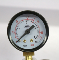 High Quality TR-04 Brass CO 2 High Pressure Gas Regulator With 1 Pressure Gauge