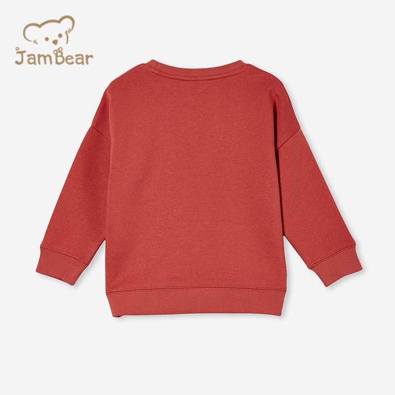 Eco friendly kids fleece sweatshirt organic bamboo printed kids sweatshirt sustainable kids crewneck sweatshirt
