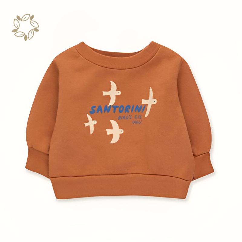 100% organic cotton terry baby sweatshirt eco friendly crew neck toddler jumper sustainable toddler crewneck sweatshirt