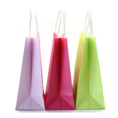 Green Color Medium Size Gift Bags ( 11 CM x 21 CM x 27 CM )