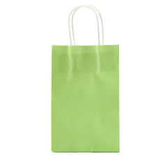 Green Color Small Size Gift Bags ( 8 CM x 13.5 CM x 21 CM )