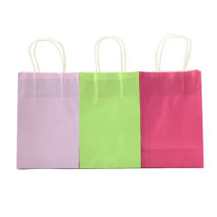Green Color Small Size Gift Bags ( 8 CM x 13.5 CM x 21 CM )