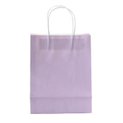 Purple Color Medium Size Gift Bags ( 11 CM x 21 CM x 27 CM )