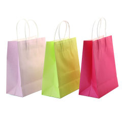 Magenta Color Medium Size Gift Bags ( 11 CM x 21 CM x 27 CM )