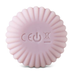Purple 10-Speed Vibrating Silicone Vibrator with Cute Design