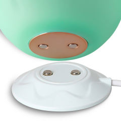 Glow-in-the-Dark 10-Function Green Silicone Rechargeable Clitoral Sucking Rose Sex Toy