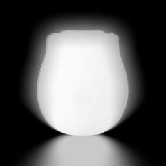Glow-in-the-Dark 10-Function White Silicone Rechargeable Clitoral Sucking Rose Sex Toy