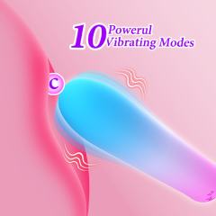 10-Speed Blue & Pink Rechargeable Silicone Vibrator with USB Magnetic Charging