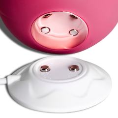 10-Speed Red Rechargeable Silicone Rose Clitoral Vibrator with Sucking Function