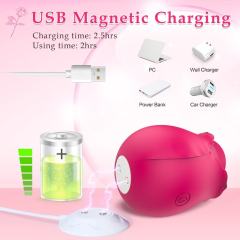 10-Speed Red Rechargeable Silicone Rose Clitoral Vibrator with Tapping Function