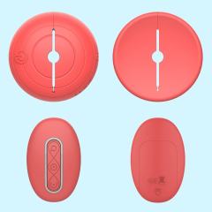 10-Speed Rechargeable Silicone Vibrating Nipple Clamps with Remote Control