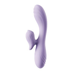 9-Mode Rechargeable Pink/Purple Silicone Rabbit Vibrator Type II