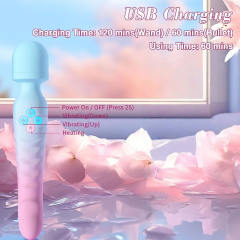 8.87 Inch 10-Speed Blue & Pink Waterproof Rechargeable Wand Massager with Heating Function