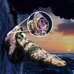 11.03'' One-Eyed Multicolor Monster Silicone Dildo