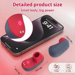 20 Modes Refd Mini Rechargeable Sucking & Tongue-Licking Massager