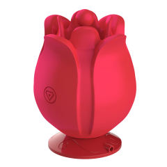 Red Rechargeable Silicone Rose Vibrator – 10 Vibrating Modes with 2 Interchangeable Caps