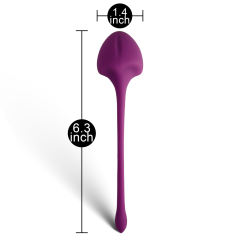 Customizable 5-Piece Medical Silicone Ben Wa Balls Set – Kegel Training Pelvic Exercise Balls