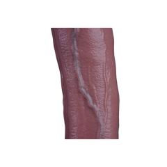 15" Ultra-Thick Silicone Dildo – Color Options Available (Flesh/Brown/Dark Coffee)