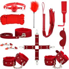 11-Piece Red High Quality BDSM Bondage Set