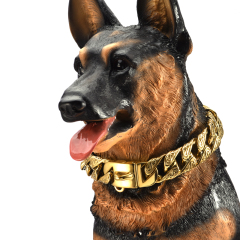 Luxury dog collars