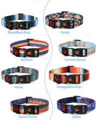 Heat Transfer Dog Collar