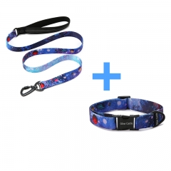 Pet Supplies Custom Luxury Metal Buckle Dog Leash And Collar Designer Collar And Leash Set For Dogs